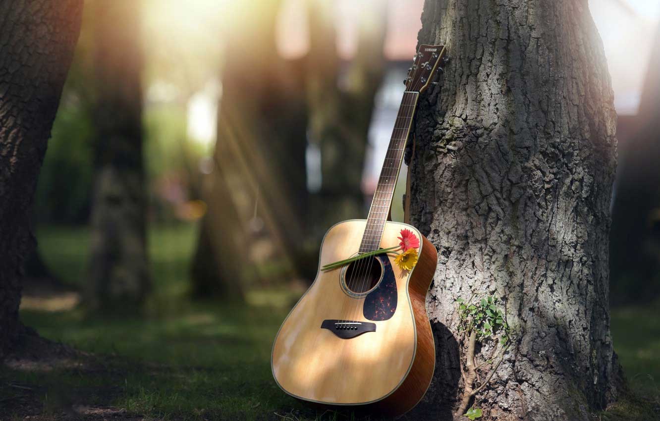 Аккорды для начинающих играть на гитаре — легкие и простые песни на гитаре